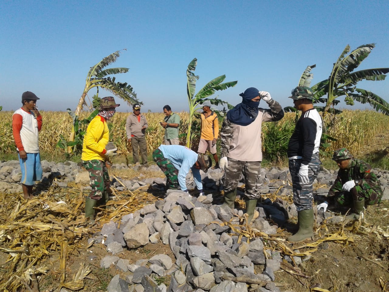  JUT, Bentuk Penantian Petani Yang Terwujud Dari TMMD