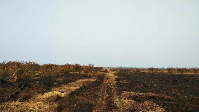 Berkali-kali Terbakar, DPRD Riau Pantau Penegakan Hukum PT LIH