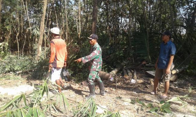 Satgas Pra TMMD Ikut Tebang Puluhan Pohon Jati Dan Bambu