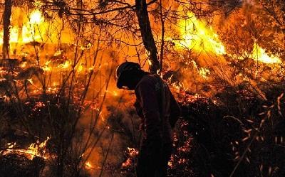 1 Hektare Lahan Gambut di Pandau terbakar, Kasus masih dalam Tahap Penyelidikan