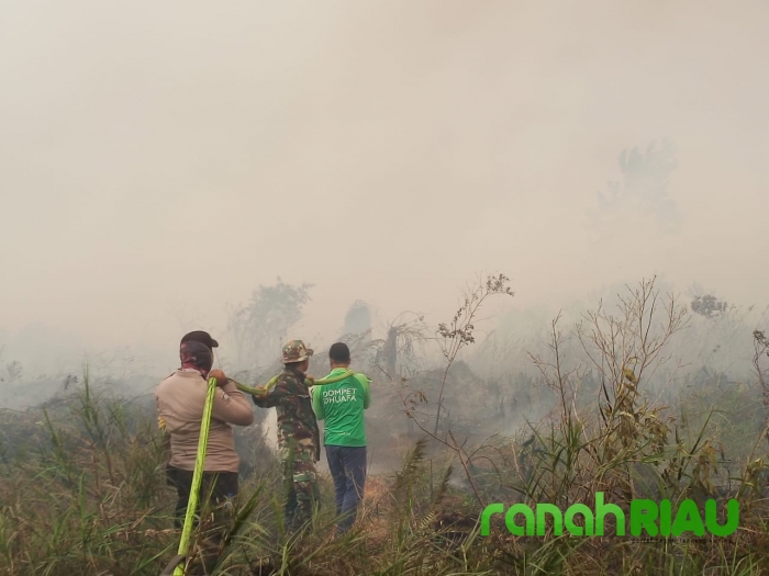 Dompet Dhuafa Riau turunkan team pemadaman Api karhutla