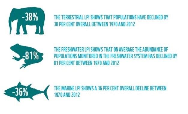 Kondisi Keanekeragaman Hayati Kian Memburuk, Mampukah Kita Memperbaikinya?