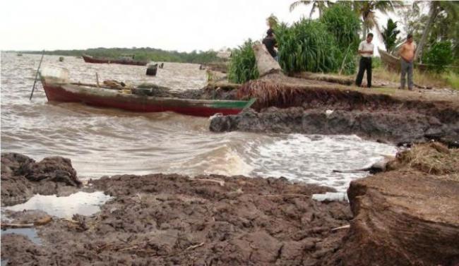 Warga Meranti Diminta Gencar Tanam Mangrove dan Benteng Nibung