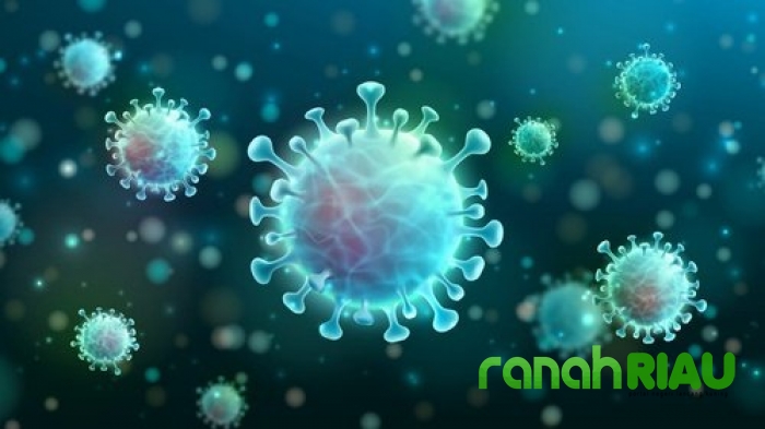 Bagian Satu, Pandangan FKPMR Terhadap hal aktual yang jadi sorotan publik Riau Tahun 2020