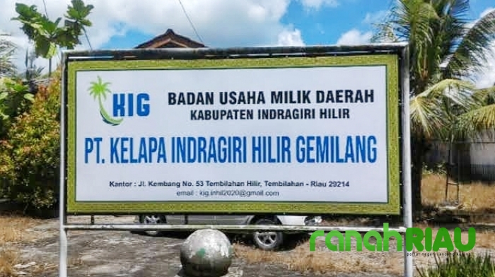 PT.KIG Pemkab Inhil Mogok Produksi Hingga Karyawan Gigit Jari
