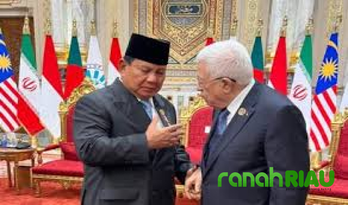  Erdogan Walk Out saat Prabowo Pidato Palestina di KTT D-8 Mesir, Kemenlu: Lumrah