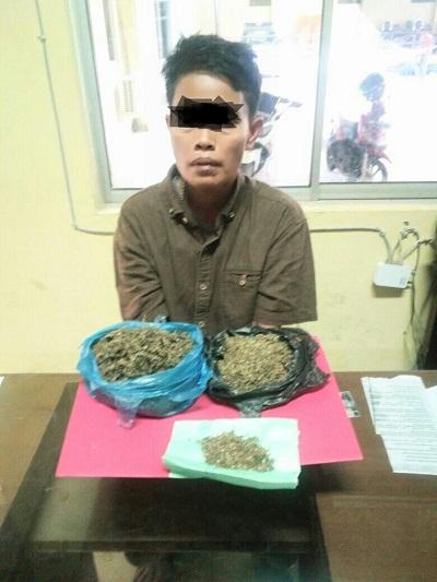 Pengedar Ganja Ini Akhirnya Ditangkap Di Kontrakan