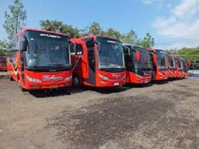 Dinas Perhubungan Riau, Hanya 2.077 Armada Bus yang tersedia untuk Pemudik
