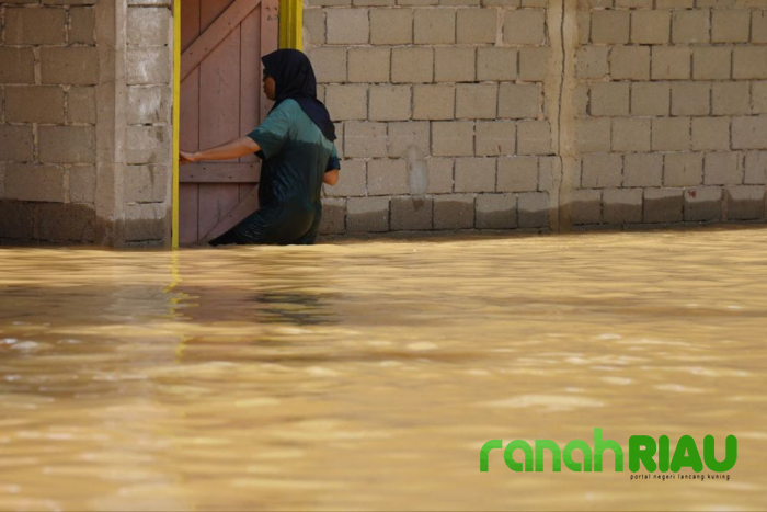 Banjir di Riau semakin meluas, Enam daerah dilanda bencana Hidrometeorologi 