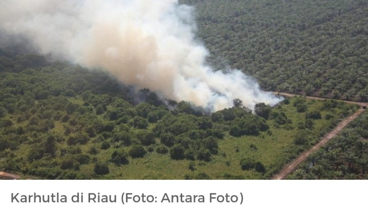 Akibat Kabut Asap, 1.136 Warga Pekanbaru Terserang ISPA
