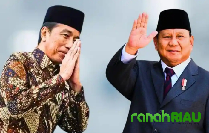 Jokowi Menolak Wantimpres, Membaca arah Angin Kekuasaan