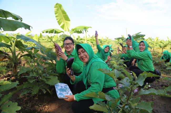  cara Persit Kartika Chandra Kirana Koorcab Rem 071 Ikut Jaga Ketahanan Pangan