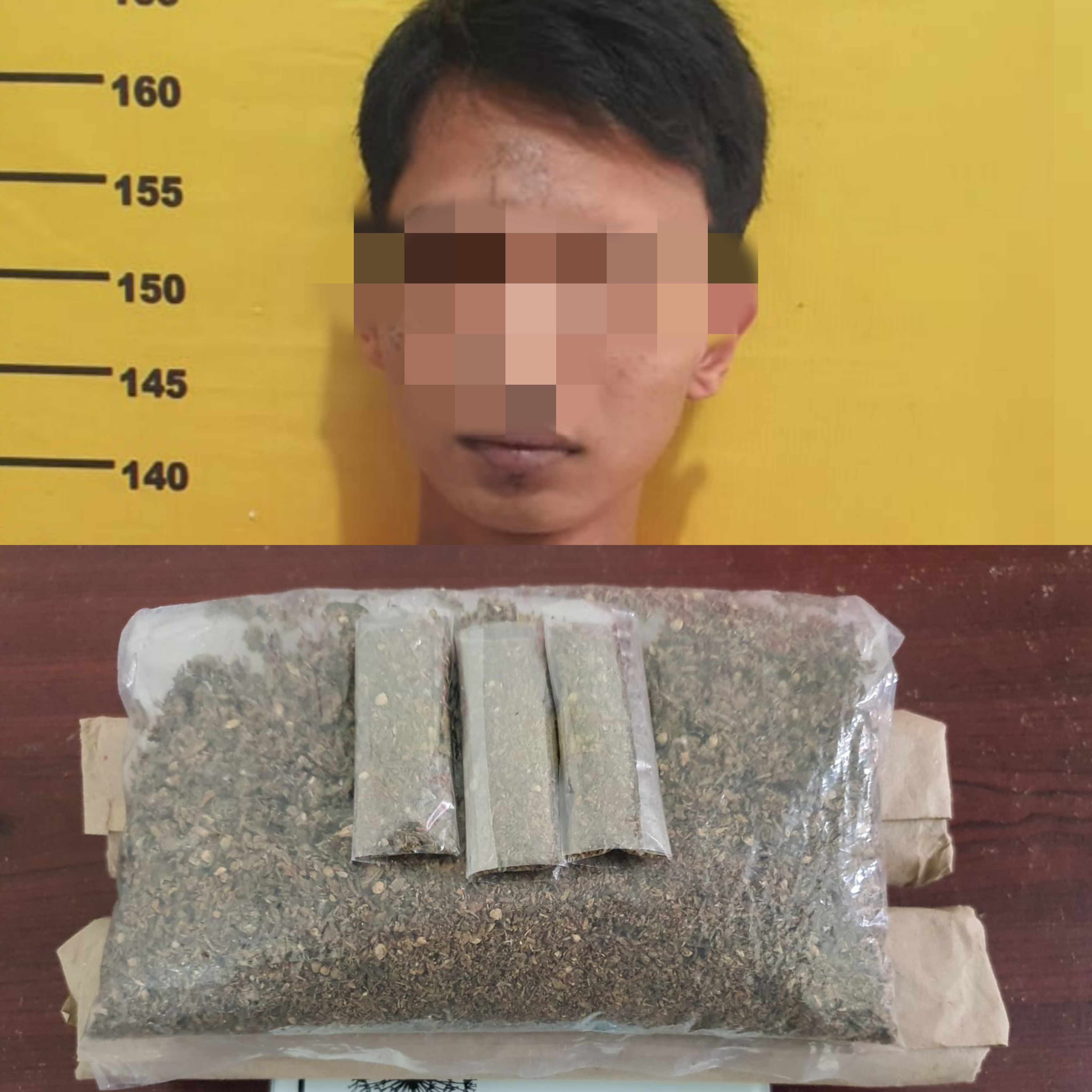 Tim Opsnal Satnarkoba Polres Bengkalis Tangkap Pengedar Ganja Kering