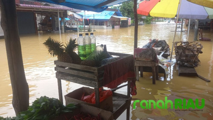 Banjir Meluas, Pemprov Riau Minta Bantuan Logistik dan Peralatan ke Pusat