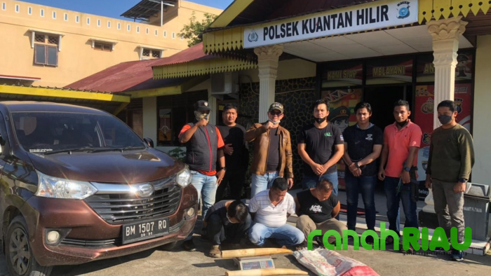 Polda Riau Amankan Pelaku Jual Beli Gading Gajah di Kuansing