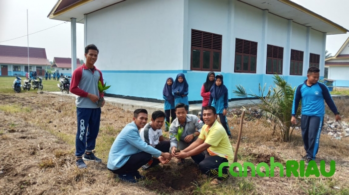 Program Penanaman pohon di hari Kemerdekaan