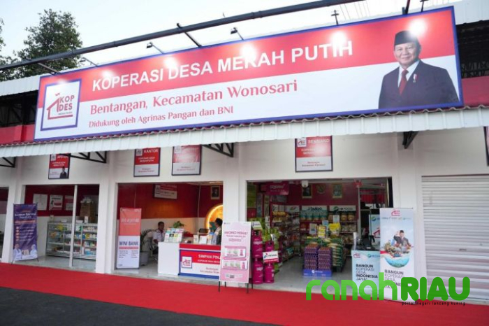 30 Ribu Manajer, Gaji dari Mana? Program Koperasi Merah Putih mulai Disorot
