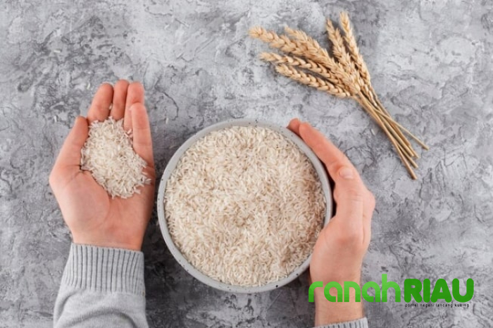 Usulan DPD Soal Zakat Danai Makan Bergizi Gratis, PBNU Ingatkan Penerima Zakat Sudah Ditentukan