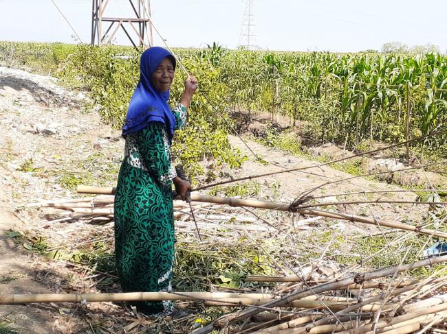 Legowo, JUT Diperluas Hingga Berjibaku Ikut Gotong Royong