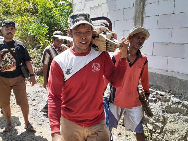 Potert Petugas Tebang Pohon Untuk JUT