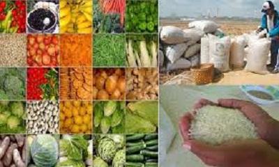 Diterpa Kemarau, Produktivitas Pangan di Riau tetap Stabil