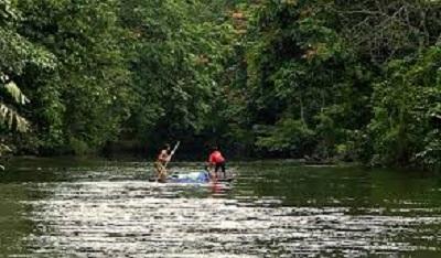 Proses Penyidikan Dugaan Korupsi SHM Tesso Nello dirampungkan