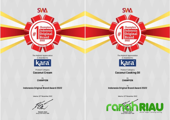 Wow! KARA Kembali Raih Penghargaan Indonesia Original Brand 2022