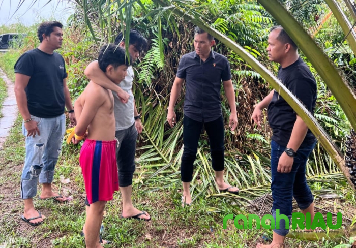 Bocah Perempuan Jadi Korban Pencabulan, Resmob Inhil Gercep Tangkap Si Pelaku