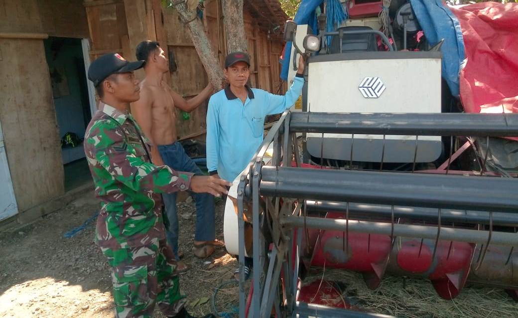 TMMD Usai, Produksi Pertanian Meningkat