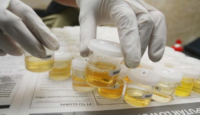 Cegah Narkoba, 300 Personil Satpol PP Pemprov Riau Jalani Tes Urine