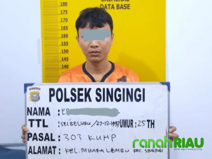 Agen Chips Higgs Domino Berhasil Dicokok Polsek Singingi