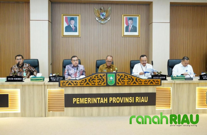 Rapat Bersama DPR RI Komisi IX, Pemprov Riau Paparkan Capaian di Bidang Kesehatan