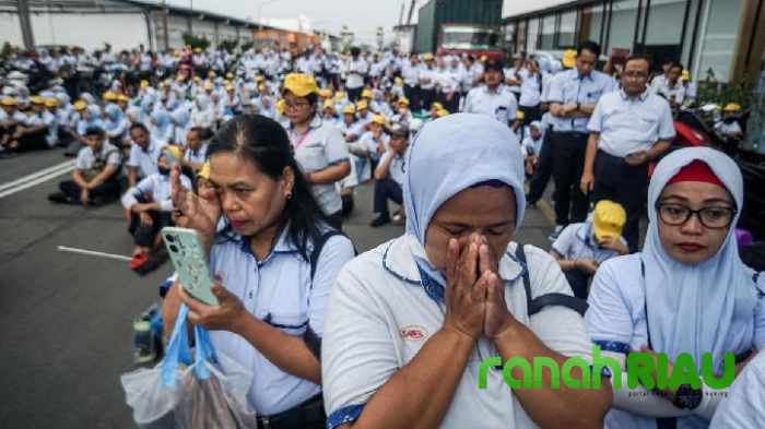 PHK Meluas, Pemerintah Siapkan Magang untuk 50 Ribu Korban Pemutusan Kerja