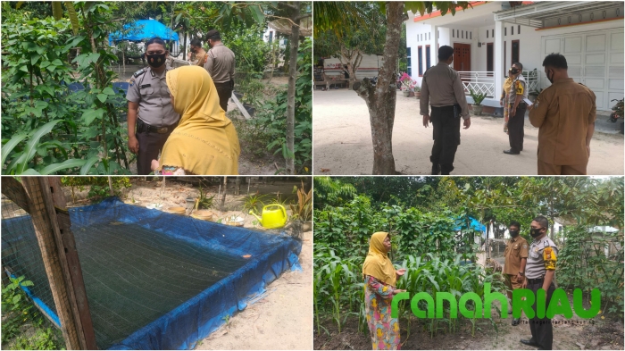 Polsek Ukui, Pengecekan Lahan Ketahanan Pangan di Kampung Tangguh Desa Tri Mulya Jaya