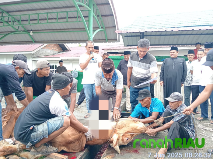 Dihadiri Ketua DPRD Bengkalis, Pengurus Masjid Al-Mubarak Desa Senggoro Sembelih 11 Hewan Kurban