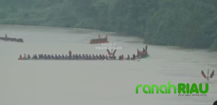 Penguasa Kandang Singa Masih Sulit untuk Diprediksi