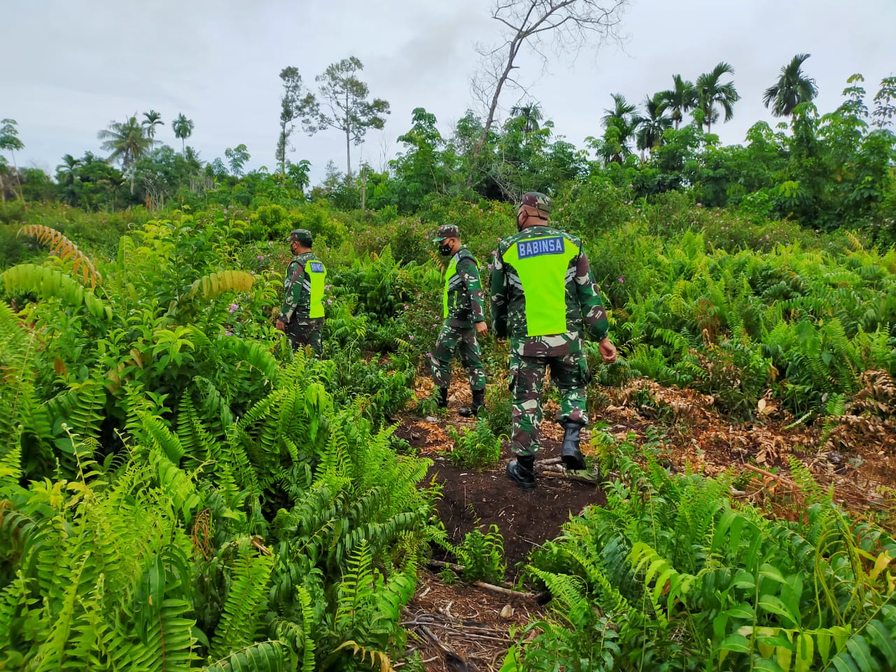 Babinsa Koramil 01 Bengkalis Patroli Karhutla Bersama MPA