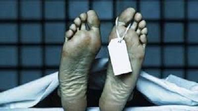 Siak Geger, ditemukan sesosok Mayat Mr. X di Kebun sawit