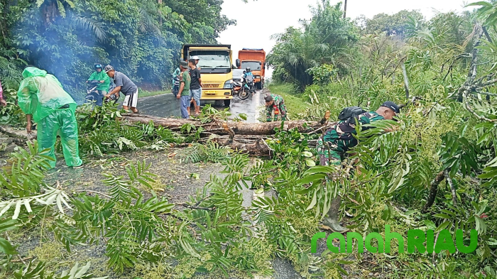 Koramil 08/KM Gerak Cepat Singkirkan Pohon Tumbang di Jalan Lintas Riau-Sumbar