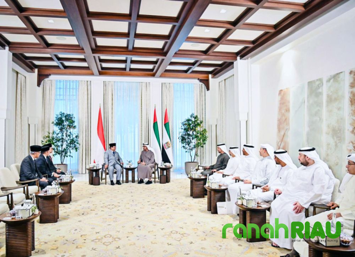 Pertemuan dengan Presiden Emirat Arab, Prabowo sampiakan Strategi Akhiri Konflik Gaza 