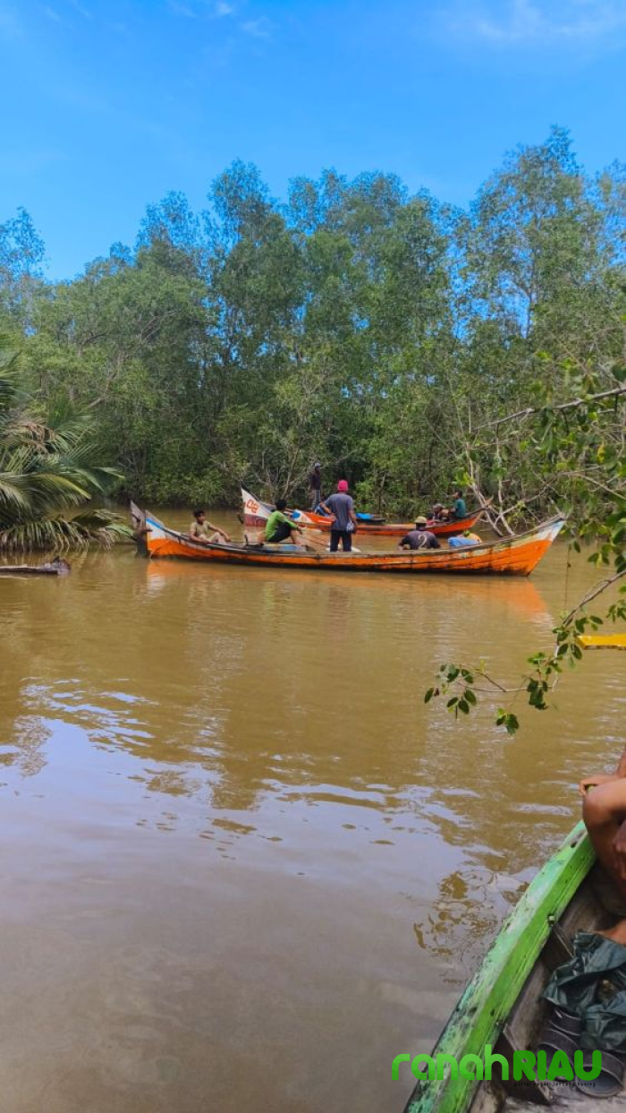 Warga Kuala Patah Parang Ditemukan Tak Bernyawa Usai diterkam Buaya Saat Cari Siput