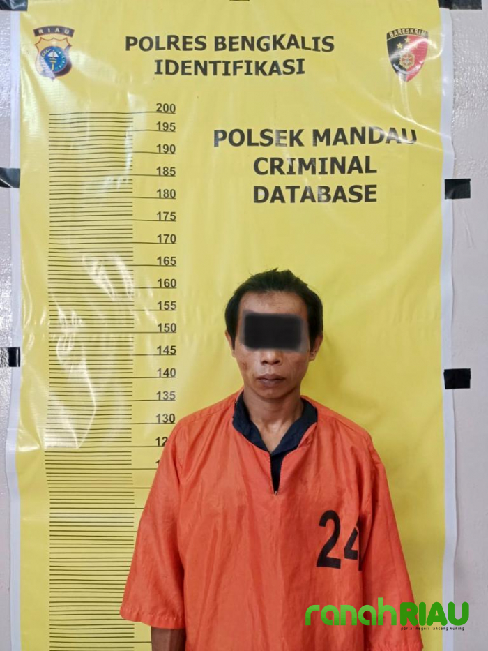 Setelah diperiksa RN diduga Pencurian Sepeda motor ditangkap Polsek Mandau