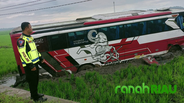 Ngotot Nyalip di Jalan Tol Ngawi, Sopir Bus Kabur setelah Tabrak Pick Up dan Tewaskan Pengemudinya