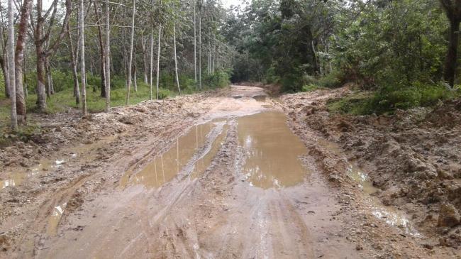 Jalan Rusak Parah, Azwar ZR Butuh Peningkatan Jalan Dari Pemkab Inhu