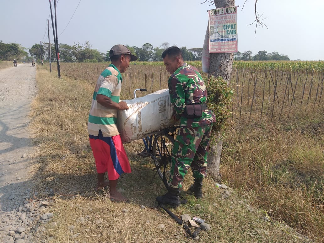Satgas TMMD Bantu Petani Naikkan Rumput Ternak