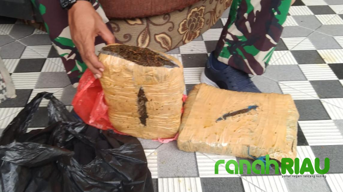 Koramil 09 Singingi Amankan 2 Kg Ganja Kering di Desa Sungai Keranji