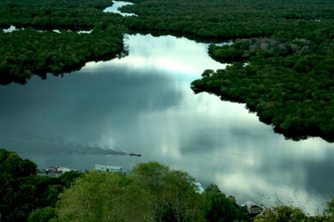 Usulkan Tiga Cagar Biosfer Baru ke UNESCO, Ini Alasannya