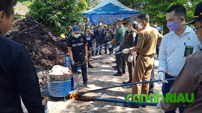 BC Bengkalis Musnahkan 41,2 ton Daging Ilegal Asal India