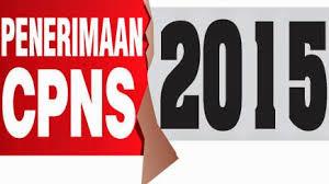 BKD Rohul sudah Ajukan Formasi 4.098 CPNS 2015 ke Menpan RB
