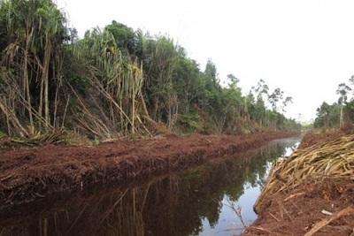 Antisipasi Karhutla, Polres Inhu bangun sekat Kanal di kawasan yang rawan Kebakaran